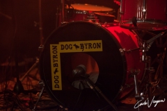 Dog Byron live in Bologna