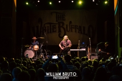 the-white-buffalo-12