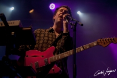The Wombats live at Bologna